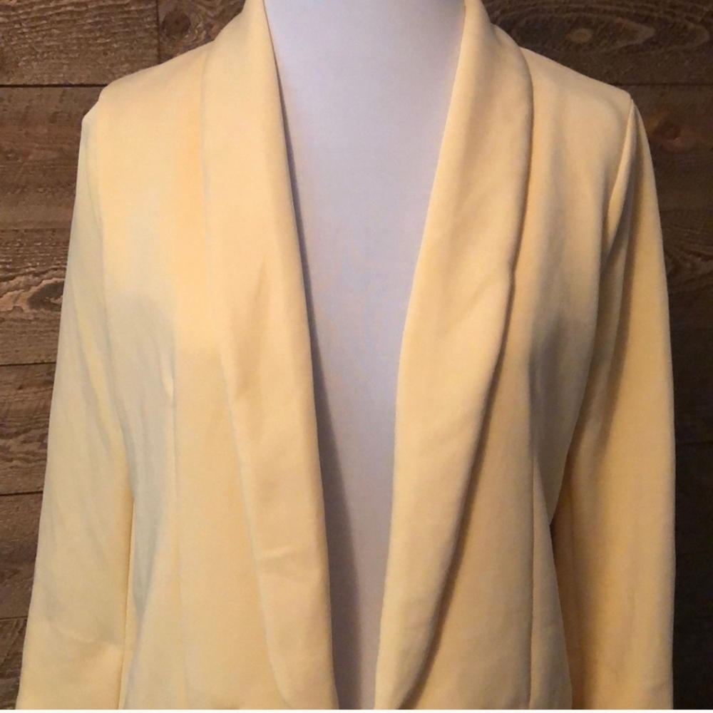 Stitch fix Skies Are Blue Asa Model Knit Blazer